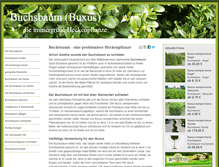 Tablet Screenshot of buxus-buchsbaum.de
